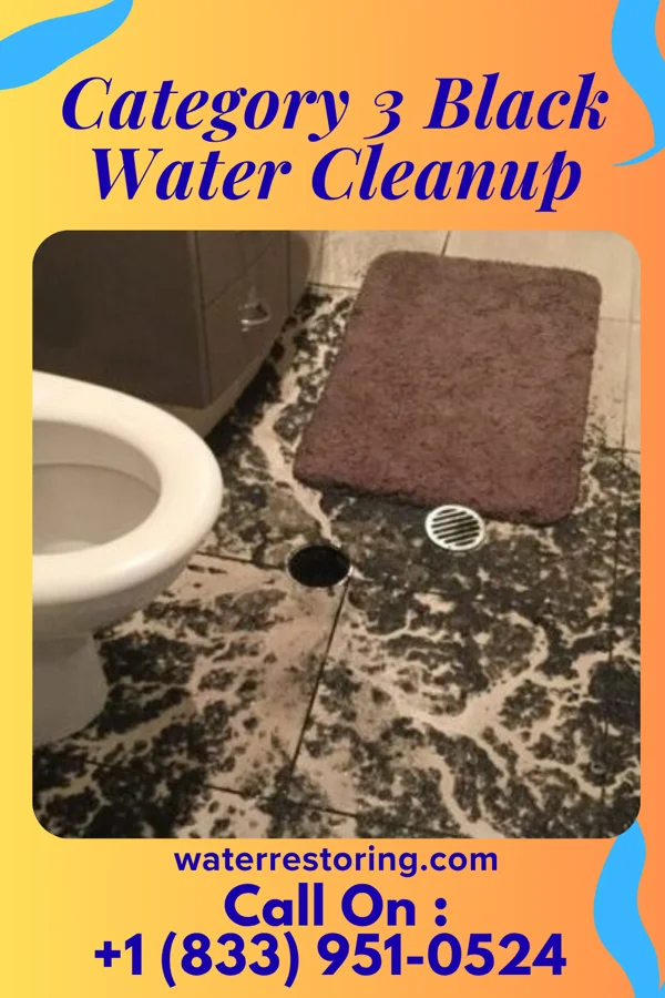 Category 3 Black Water Cleanup in Congress, OH