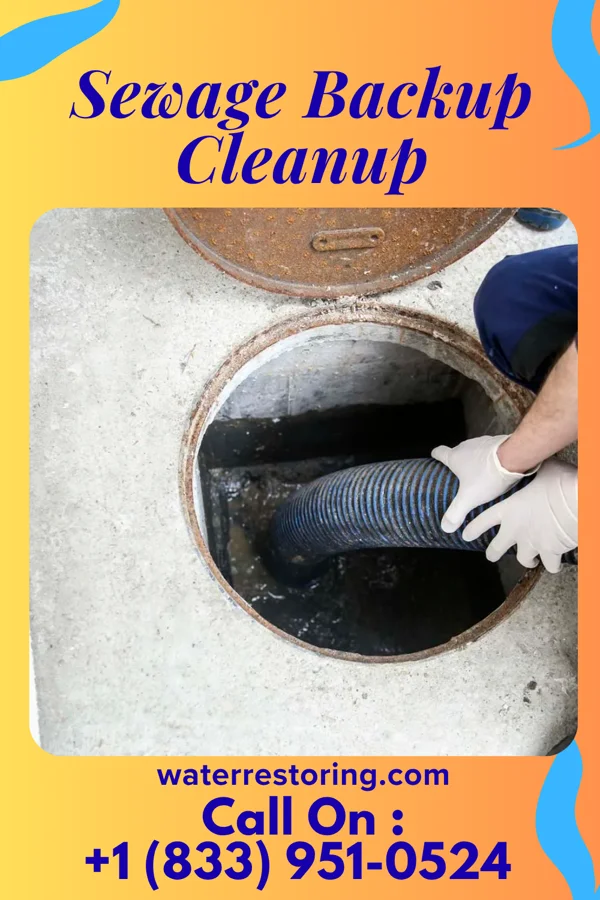 Sewage Backup Cleanup in Congress, OH
